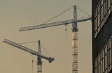 cropped cranes